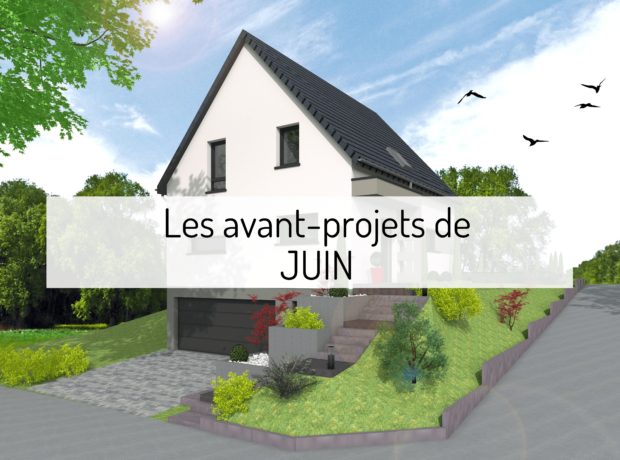 Projets juin